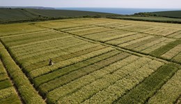 The new Recommended Lists (RL) is leaner and meaner